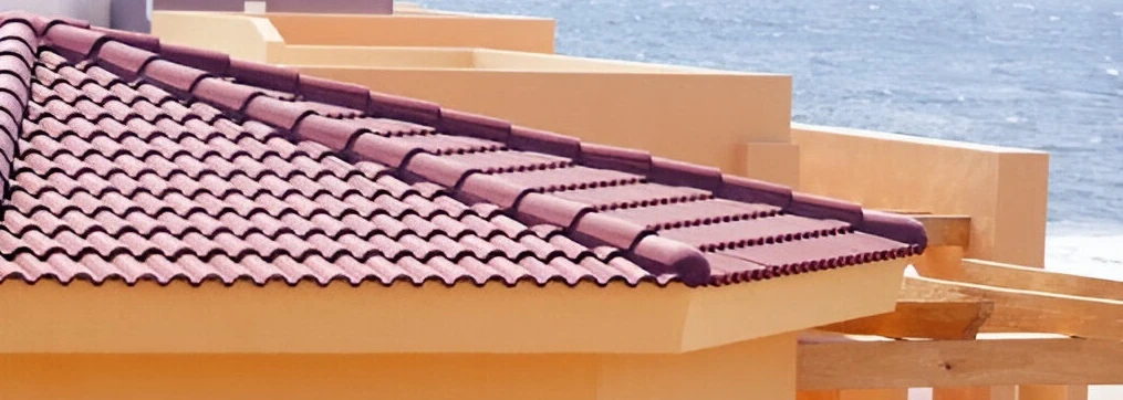 teja corcega teja corcega